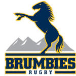 brumbies brumbies